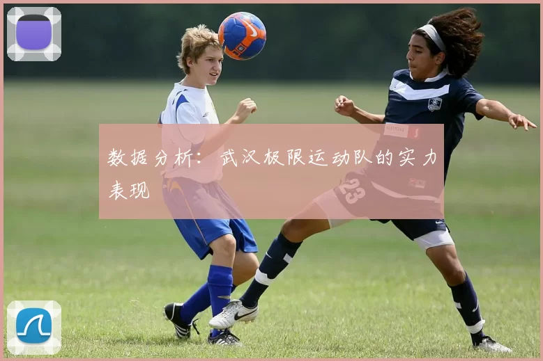 数据分析：武汉极限运动队的实力表现