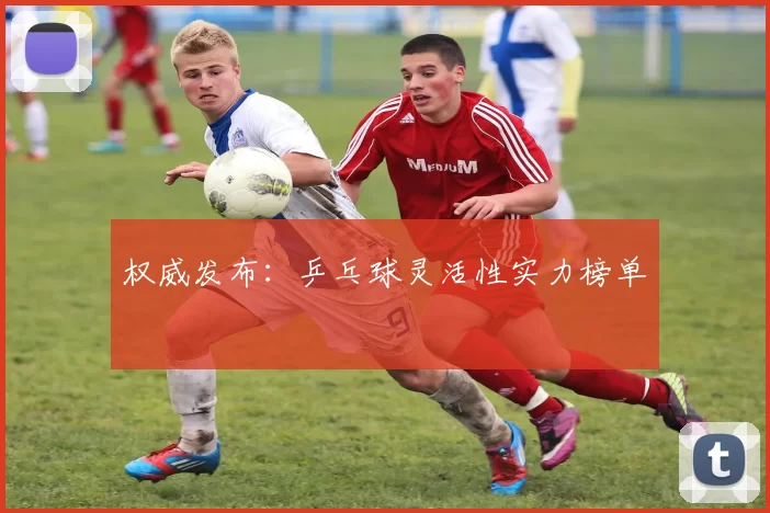 权威发布：乒乓球灵活性实力榜单