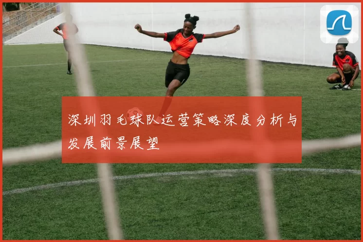 深圳羽毛球队运营策略深度分析与发展前景展望