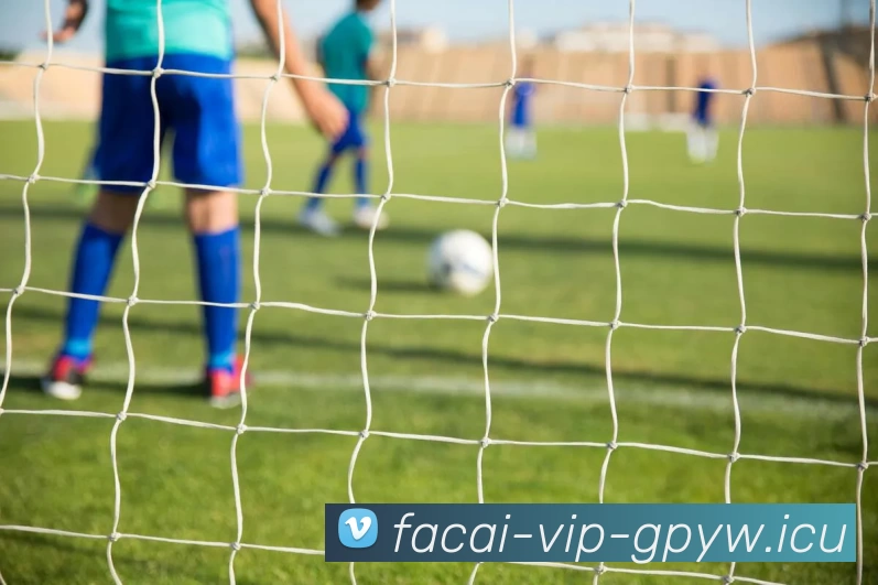 乐鱼体育平台生态图