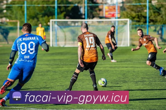 乐鱼体育全站App